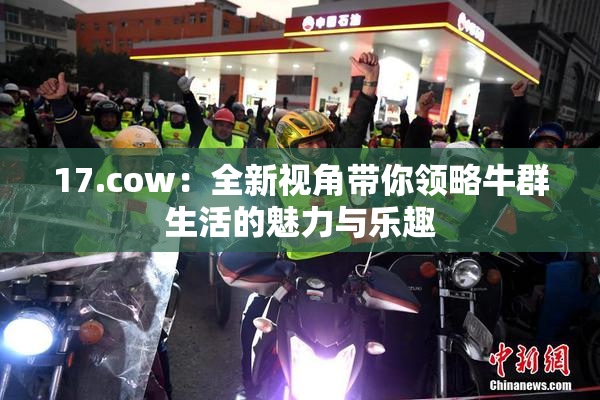 17.cow：全新视角带你领略牛群生活的魅力与乐趣
