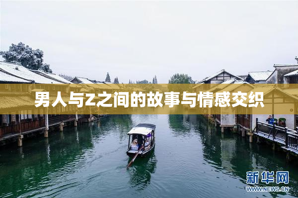 男人与Z之间的故事与情感交织
