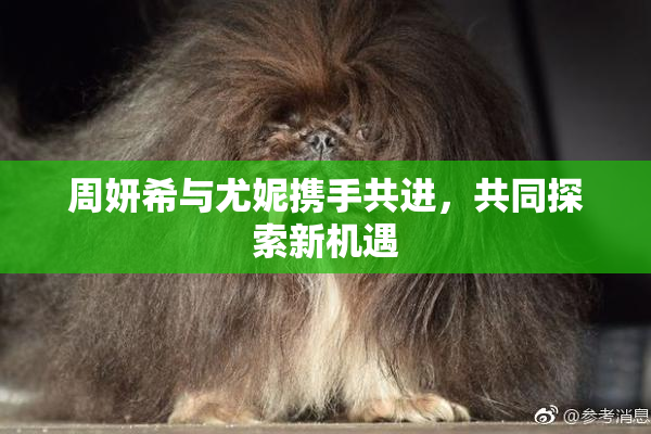 周妍希与尤妮携手共进，共同探索新机遇