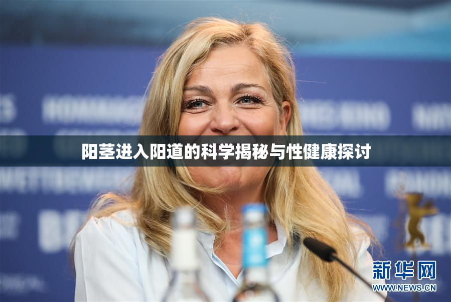 阳茎进入阳道的科学揭秘与性健康探讨