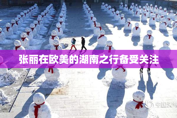 张丽在欧美的湖南之行备受关注