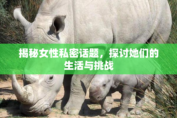 揭秘女性私密话题，探讨她们的生活与挑战