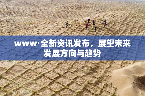 www·全新资讯发布，展望未来发展方向与趋势