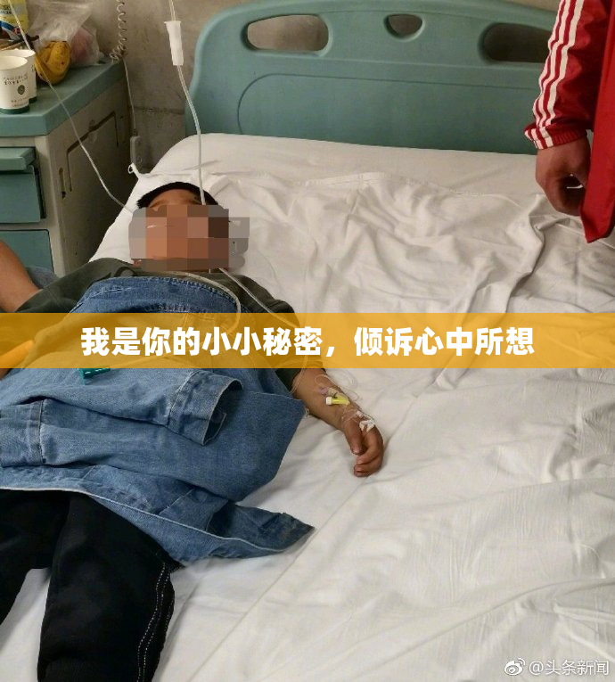 我是你的小小秘密，倾诉心中所想