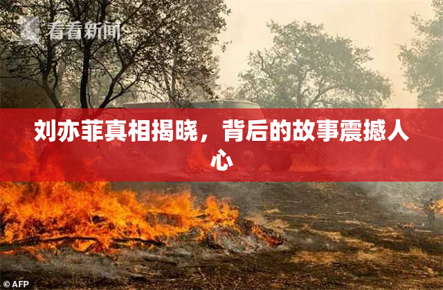 刘亦菲真相揭晓，背后的故事震撼人心