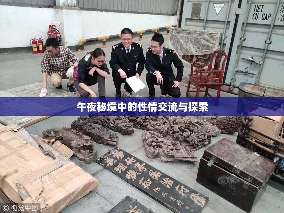午夜秘境中的性情交流与探索