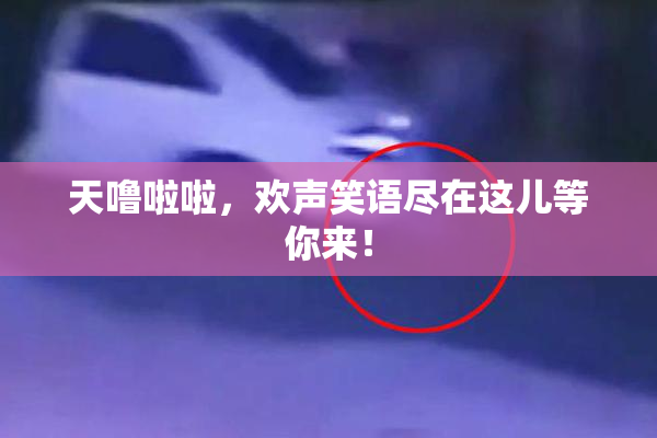 天噜啦啦，欢声笑语尽在这儿等你来！