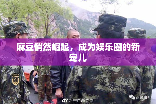 麻豆悄然崛起，成为娱乐圈的新宠儿