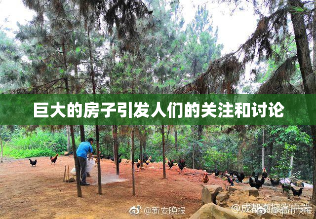 巨大的房子引发人们的关注和讨论