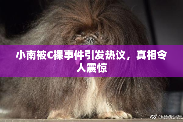 小南被C裸事件引发热议，真相令人震惊