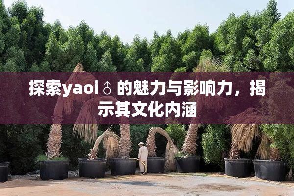 探索yaoi♂的魅力与影响力，揭示其文化内涵