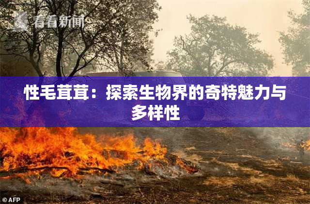 性毛茸茸：探索生物界的奇特魅力与多样性