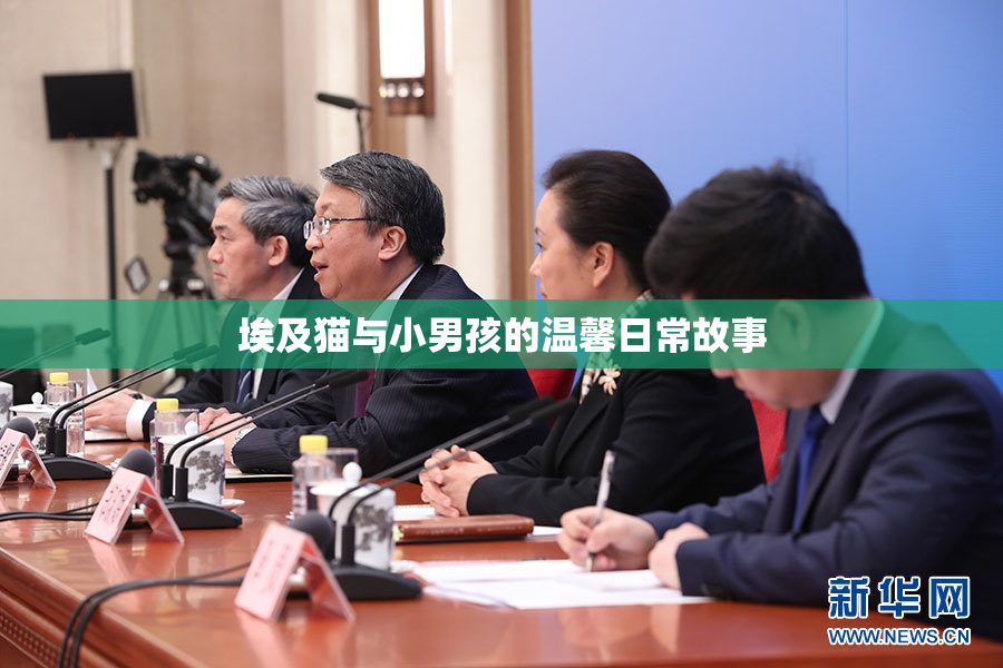 埃及猫与小男孩的温馨日常故事