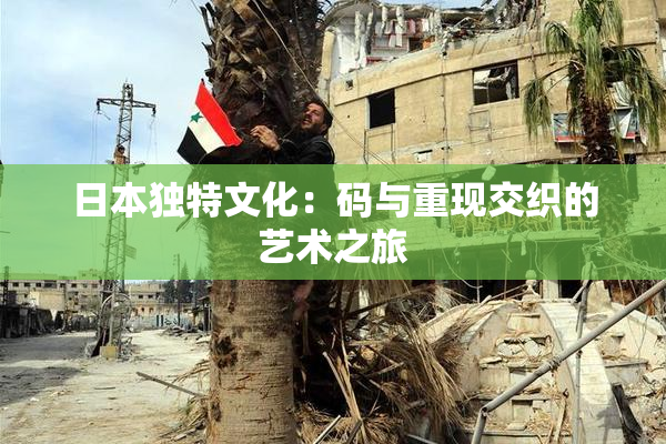 日本独特文化：码与重现交织的艺术之旅