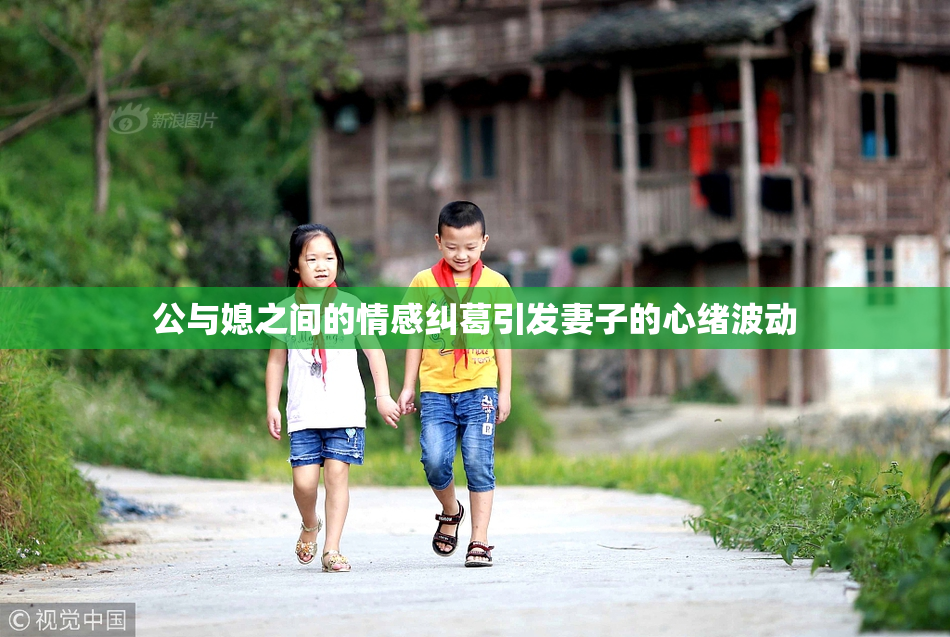 公与媳之间的情感纠葛引发妻子的心绪波动