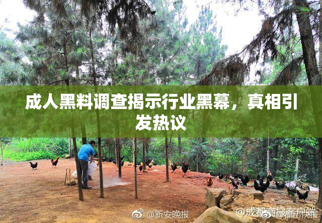 成人黑料调查揭示行业黑幕，真相引发热议