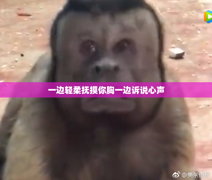 一边轻柔抚摸你胸一边诉说心声