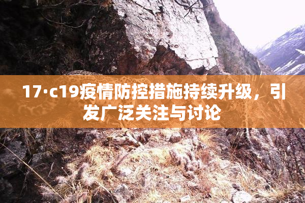 17·c19疫情防控措施持续升级，引发广泛关注与讨论