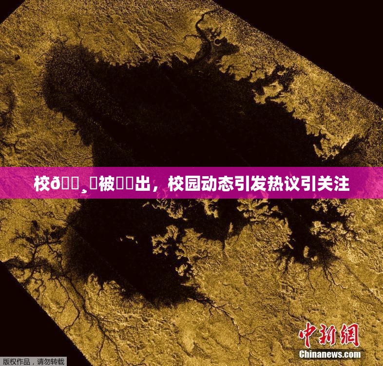校🌸‌被❌‌出，校园动态引发热议引关注