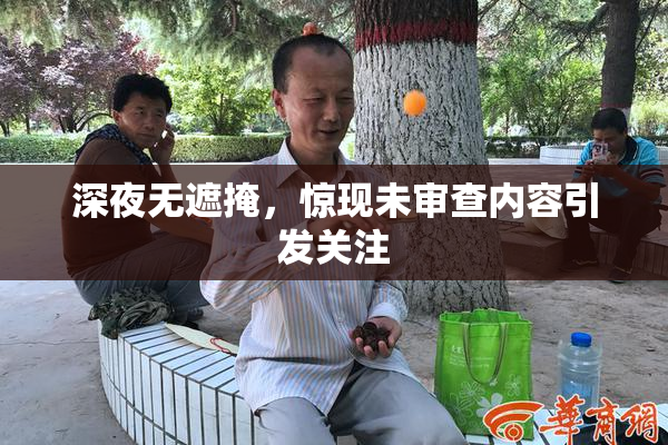 深夜无遮掩，惊现未审查内容引发关注