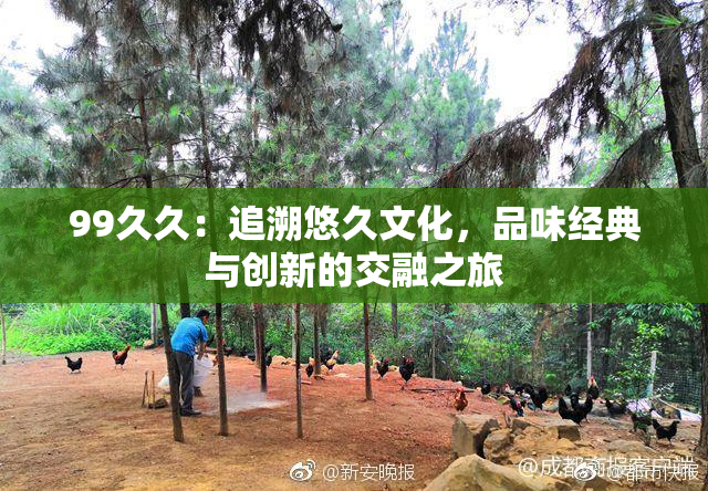 99久久：追溯悠久文化，品味经典与创新的交融之旅