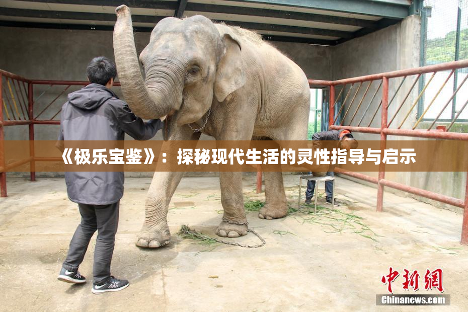 《极乐宝鉴》：探秘现代生活的灵性指导与启示