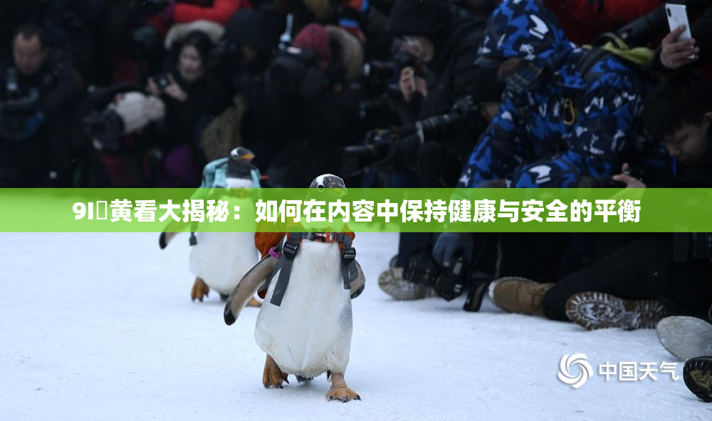9I婬黄看大揭秘：如何在内容中保持健康与安全的平衡