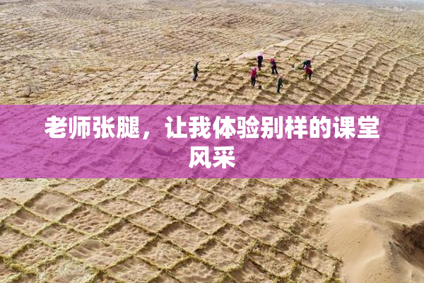 老师张腿，让我体验别样的课堂风采