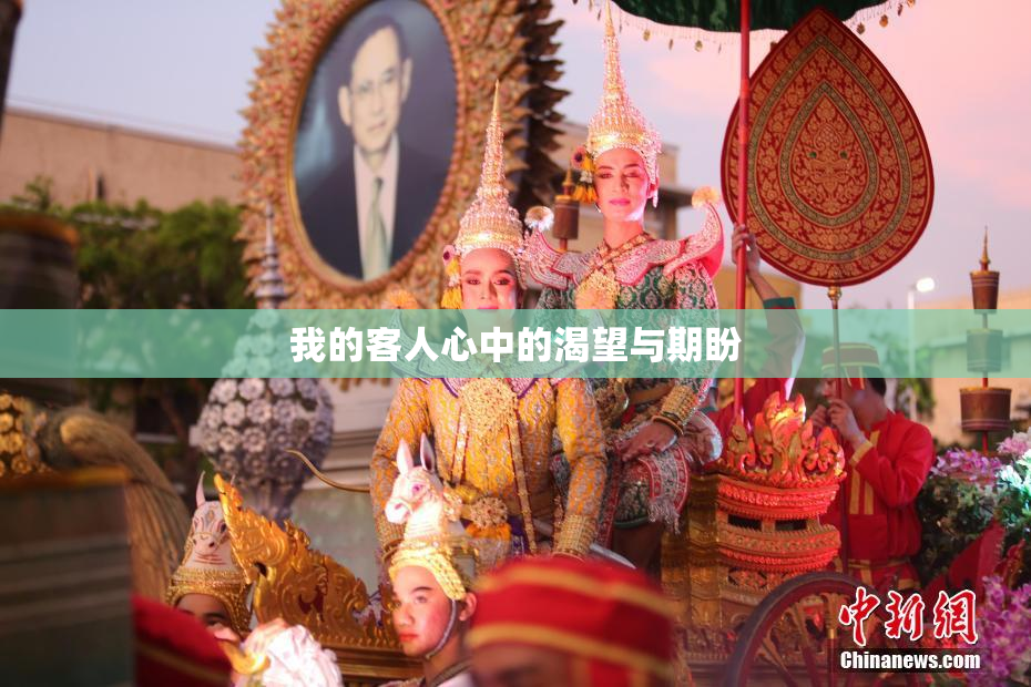 我的客人心中的渴望与期盼