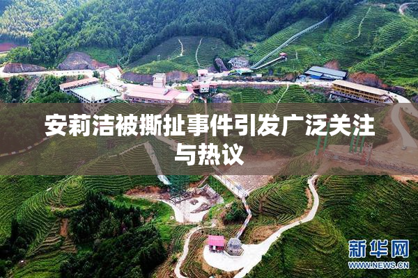 安莉洁被撕扯事件引发广泛关注与热议