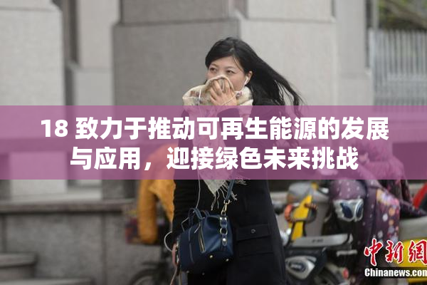 18 致力于推动可再生能源的发展与应用，迎接绿色未来挑战
