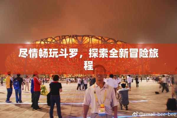 尽情畅玩斗罗，探索全新冒险旅程