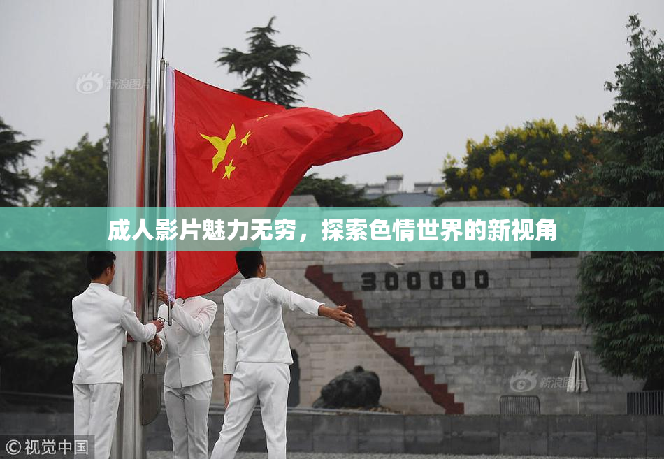 成人影片魅力无穷，探索色情世界的新视角