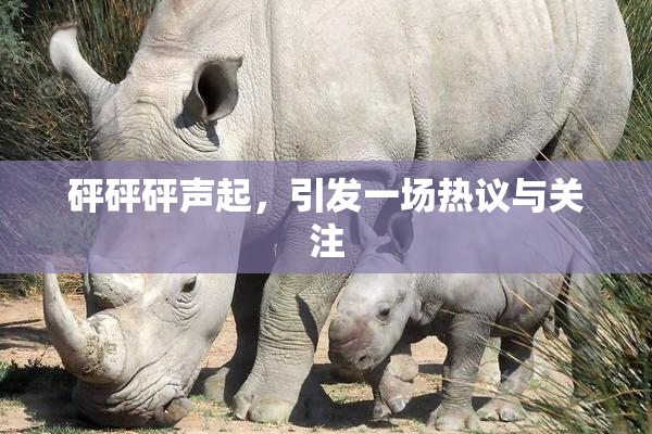 砰砰砰声起，引发一场热议与关注