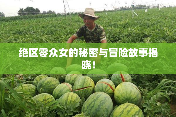 绝区零众女的秘密与冒险故事揭晓！