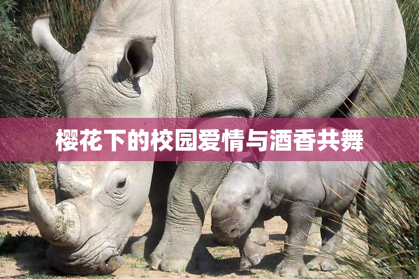 樱花下的校园爱情与酒香共舞