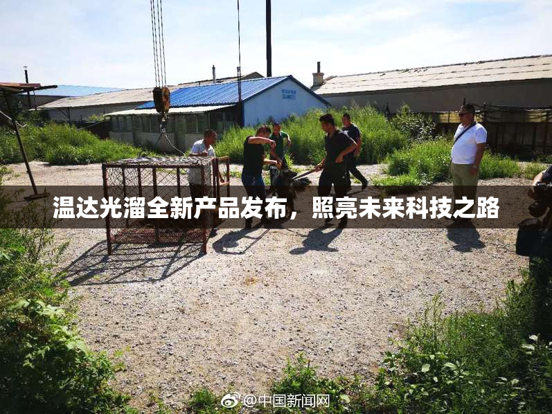 温达光溜全新产品发布，照亮未来科技之路