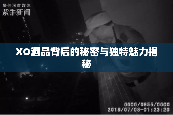 XO酒品背后的秘密与独特魅力揭秘