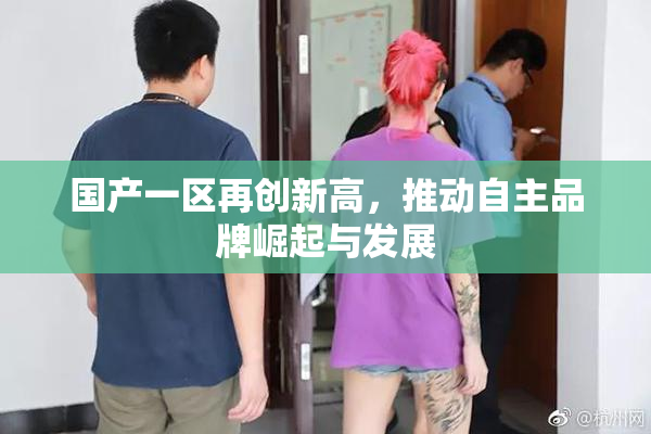 国产一区再创新高，推动自主品牌崛起与发展