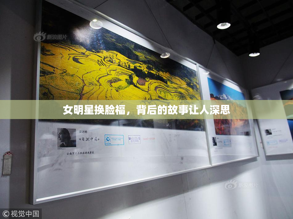 女明星换脸福，背后的故事让人深思