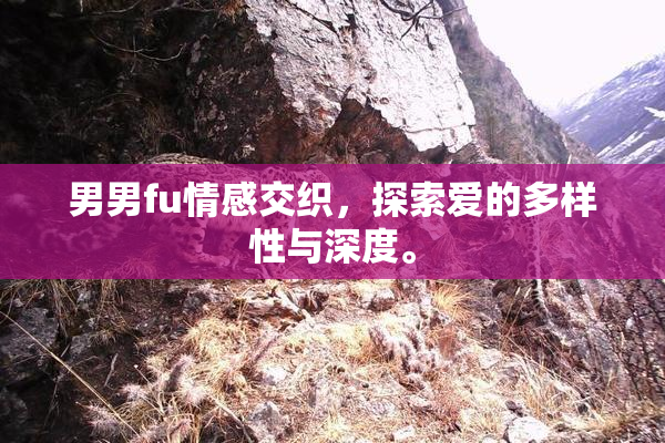 男男fu情感交织，探索爱的多样性与深度。
