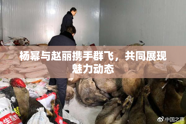 杨幂与赵丽携手群飞，共同展现魅力动态
