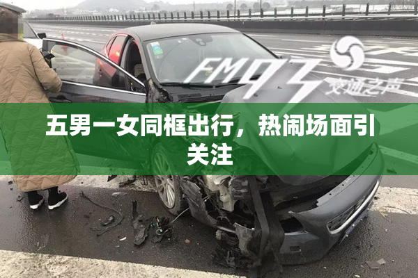 五男一女同框出行，热闹场面引关注