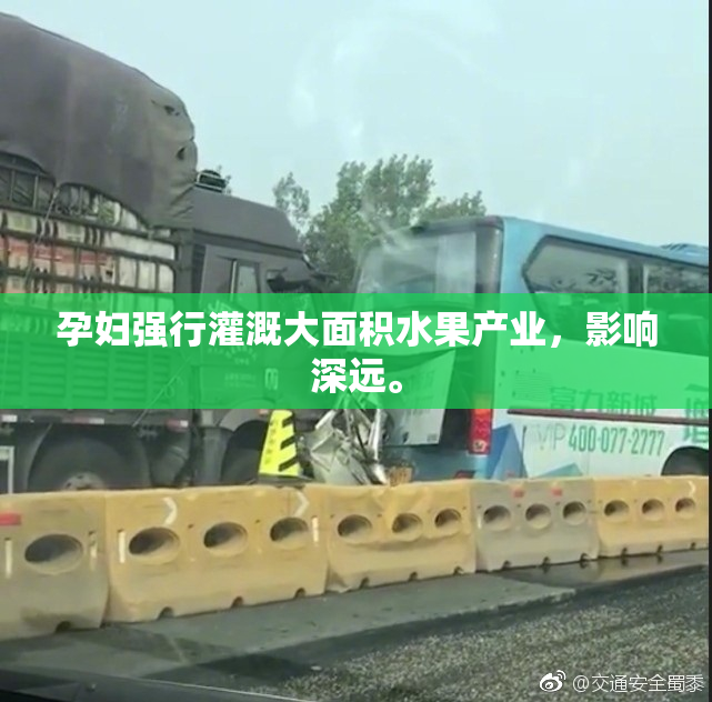 孕妇强行灌溉大面积水果产业，影响深远。