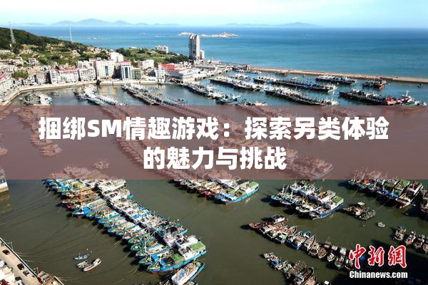 捆绑SM情趣游戏：探索另类体验的魅力与挑战