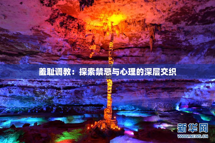 羞耻调教：探索禁忌与心理的深层交织