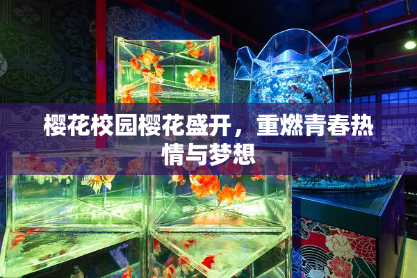樱花校园樱花盛开，重燃青春热情与梦想