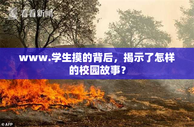 www.学生摸的背后，揭示了怎样的校园故事？