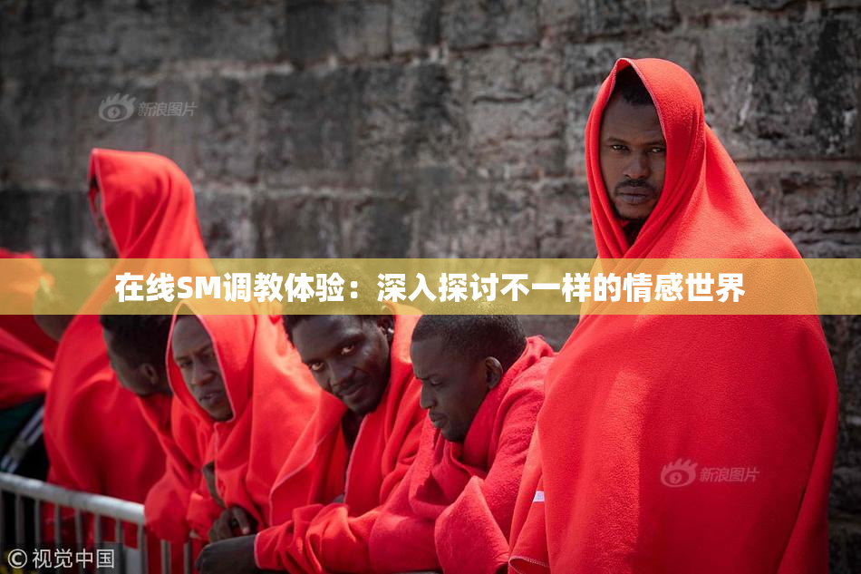 在线SM调教体验：深入探讨不一样的情感世界