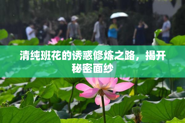 清纯班花的诱惑修炼之路，揭开秘密面纱